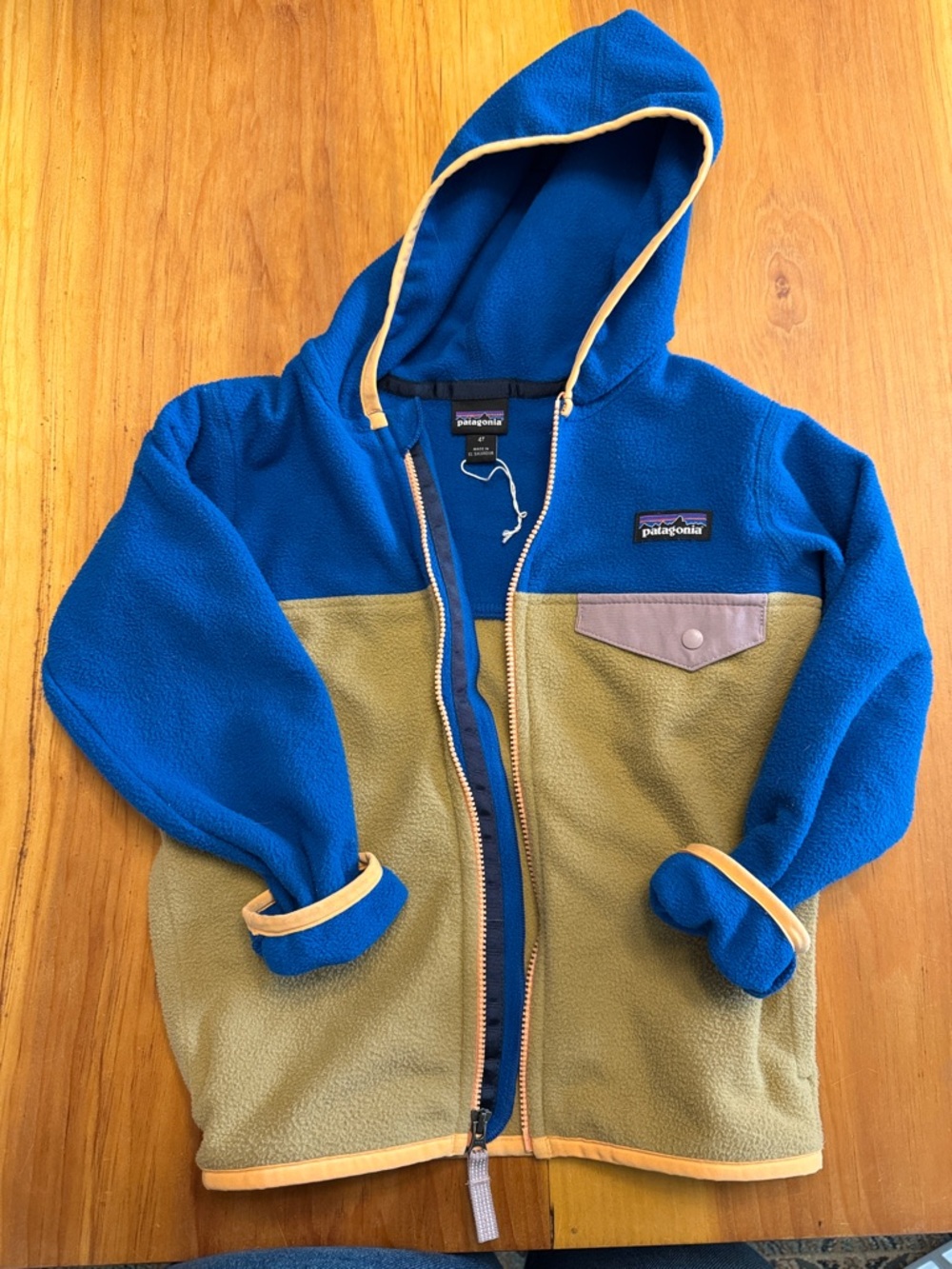 Patagonia Kids Blue & Olive Zip Fleece Hoodie